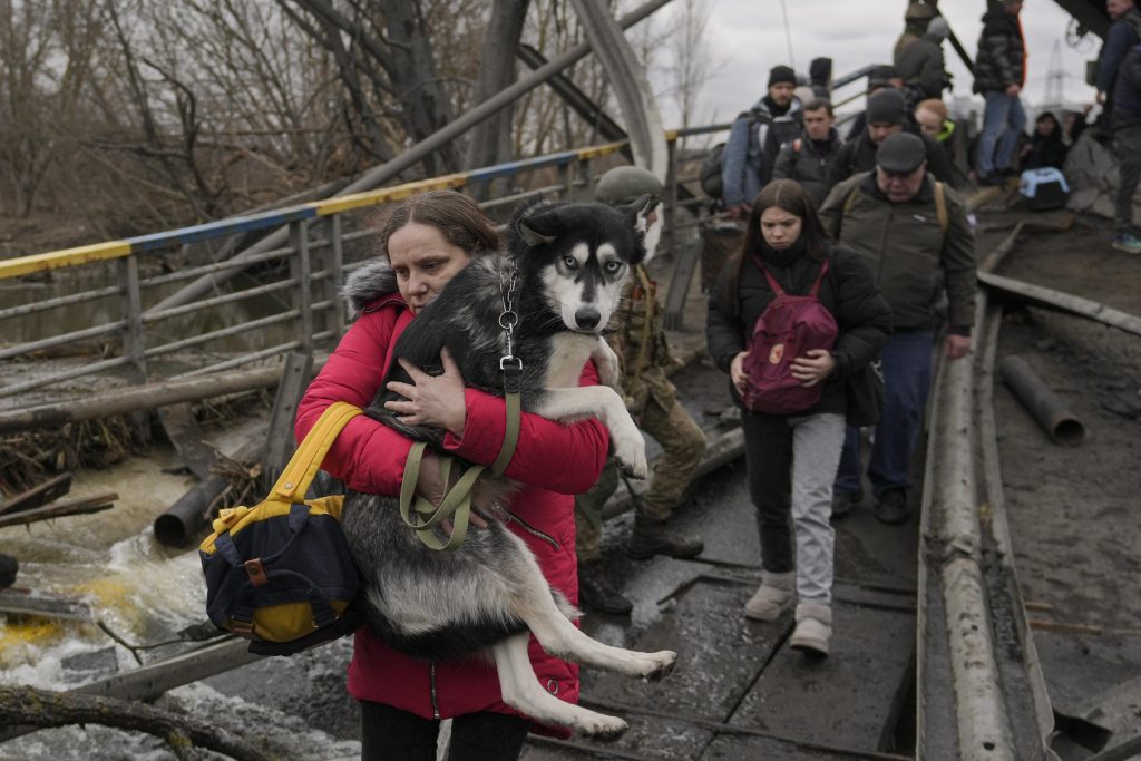 AP PHOTOS: Ukrainer, die vor dem Krieg fliehen, dürfen Haustiere nicht zurücklassen