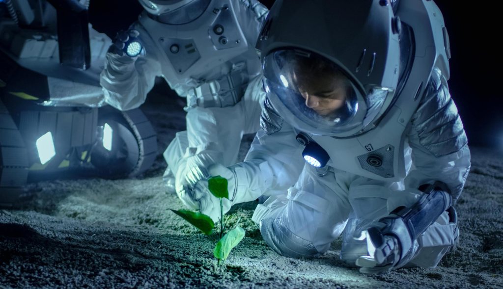 Wissenschaftler züchten Pflanzen auf Mondboden – zum ersten Mal in der Geschichte der Menschheit
