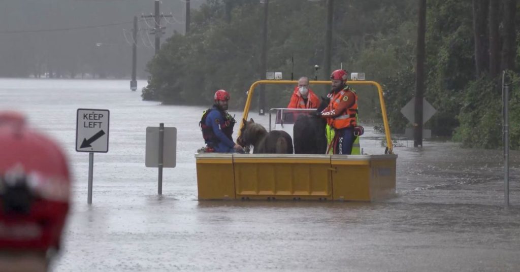 Zehntausende Einwohner von Sydney haben darum gebeten, evakuiert zu werden, da es in den Vororten regnet