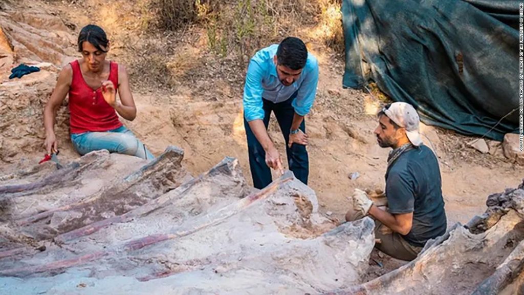Entdecken Sie einen Dinosaurierkäfig im Hinterhof von Portugal