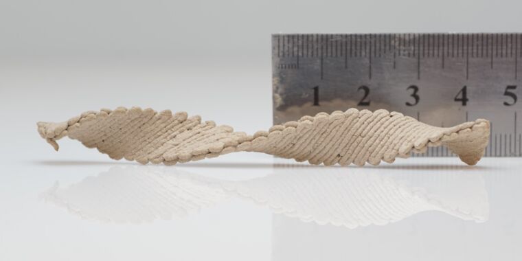 Diese selbstmodulierenden 3D-Holzformen könnten die Zukunft der Holzbearbeitung sein