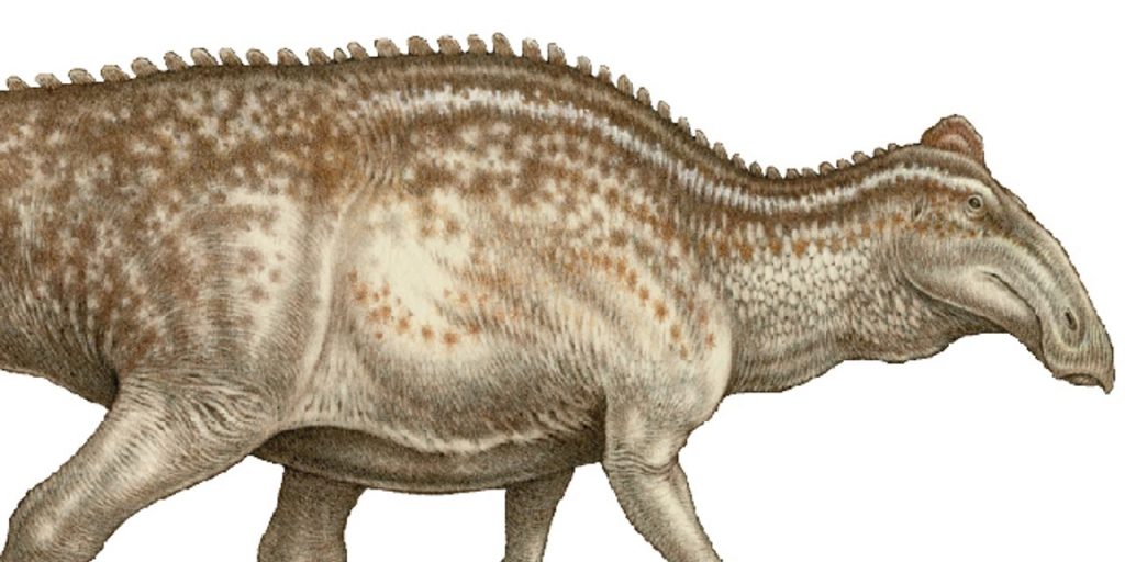 Die vernarbte Dinosaurier-Mumie weist darauf hin, dass solche Fossilien nicht sehr selten sind