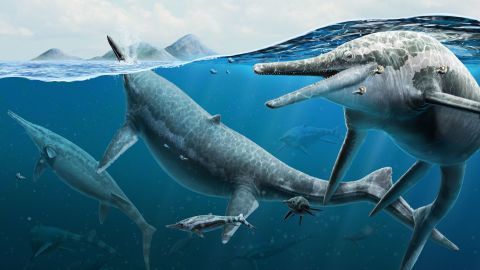 Künstlerische Rekonstruktion erwachsener und neugeborener Ichthyosaurier im Ozean.