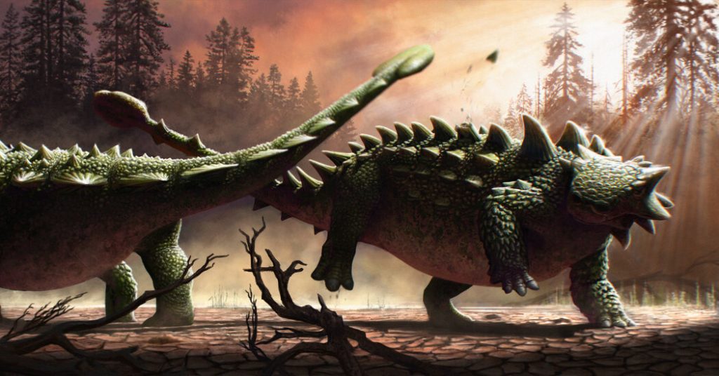 Ankylosauriers Schwanzkeule wurde nicht nur auf T. Rex geschwungen